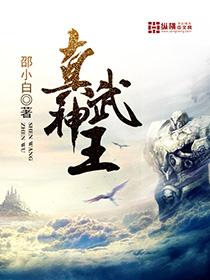 真武神王评价