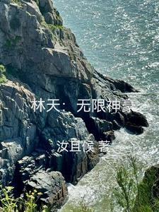 主角林天电子书