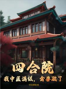 四合院开局满级医术无双公子