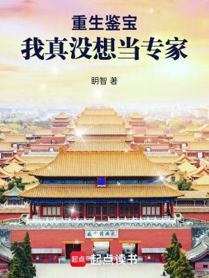 重生的鉴宝师