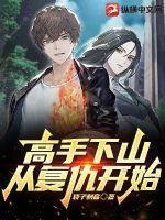 高手下山找未婚妻的