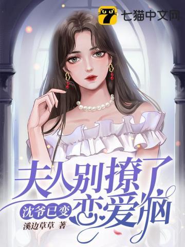 夫人别嫁了
