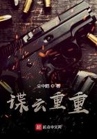 迷踪谍影