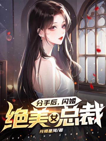 分手后闪婚绝美女总裁