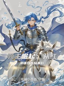 领主三国之领主崛起
