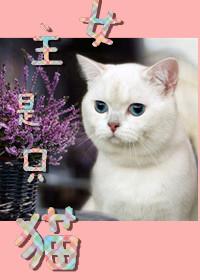女主是只猫的现言