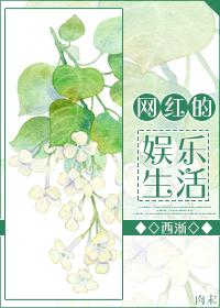 网红现实生活