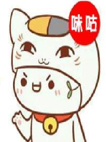 大司法和小司法是什么
