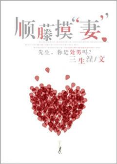 顺藤摸妻书包网