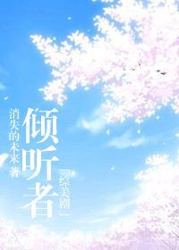 [综美剧