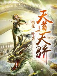 天道天骄人物介绍