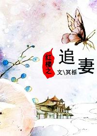 红楼之宠妃免费阅读全文