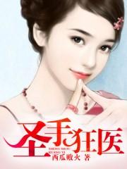 圣手狂医 西瓜败火