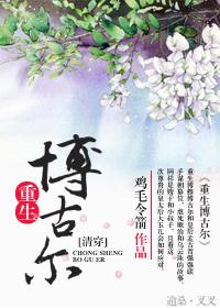 清穿之博尔济吉特氏藤音