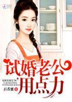 试婚老公要给力结局是什么