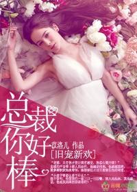 旧爱新欢是成语吗