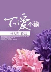 不爱不伤不痛免费阅读完整版