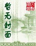 绿茵崛起之路TXT精校