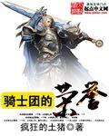 有哪些骑士团