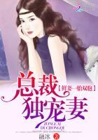 一胎双宝总裁娇妻火辣辣