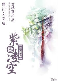 紫薇星空