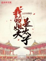 姐夫是太子的