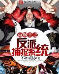 海贼王之反派召唤