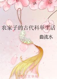 穿成科举文里的嫡长孙