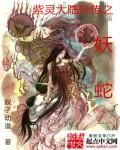 紫灵大陆 双子动漫