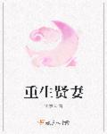 重生贤妻良母