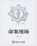 命案现场分析PDF