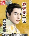我是秦二世黑冰台