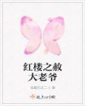 红楼之大老爷重生了