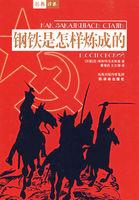 钢铁是怎样炼成的是一部什么