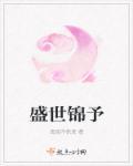 盛世锦嫁人物介绍