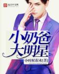 大明星奶爸