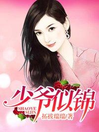 少爷似锦全文免费