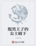 腹黑王子动漫