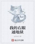 我的右眼是什么