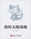 无限舰队战争