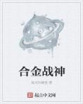 合金战姬