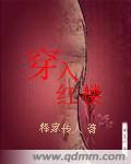 穿入红楼txt棉花糖