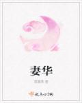 妻华夜惠美全文免费阅读笔趣阁