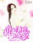 天价宝贝帝少疼妻入骨全文