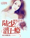 陆少霸宠妻替嫁妻完结