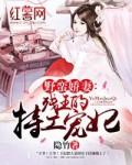 野蛮王妃百科