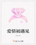 初见的爱情故事
