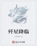 歼星舰系谱概述