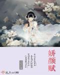 娇颜赋是杂牌子还是名牌