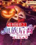 哈利波特之混血贵族
